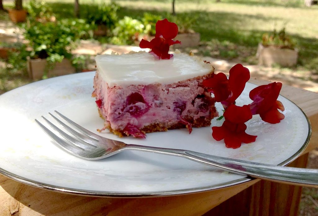 Cranberry Cheesecake